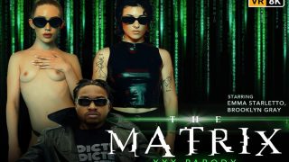 The Matrix (A XXX Parody)